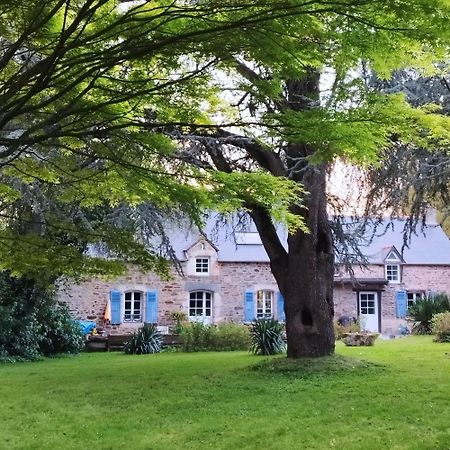 La Suite D'Anna Rohan Bagian luar foto