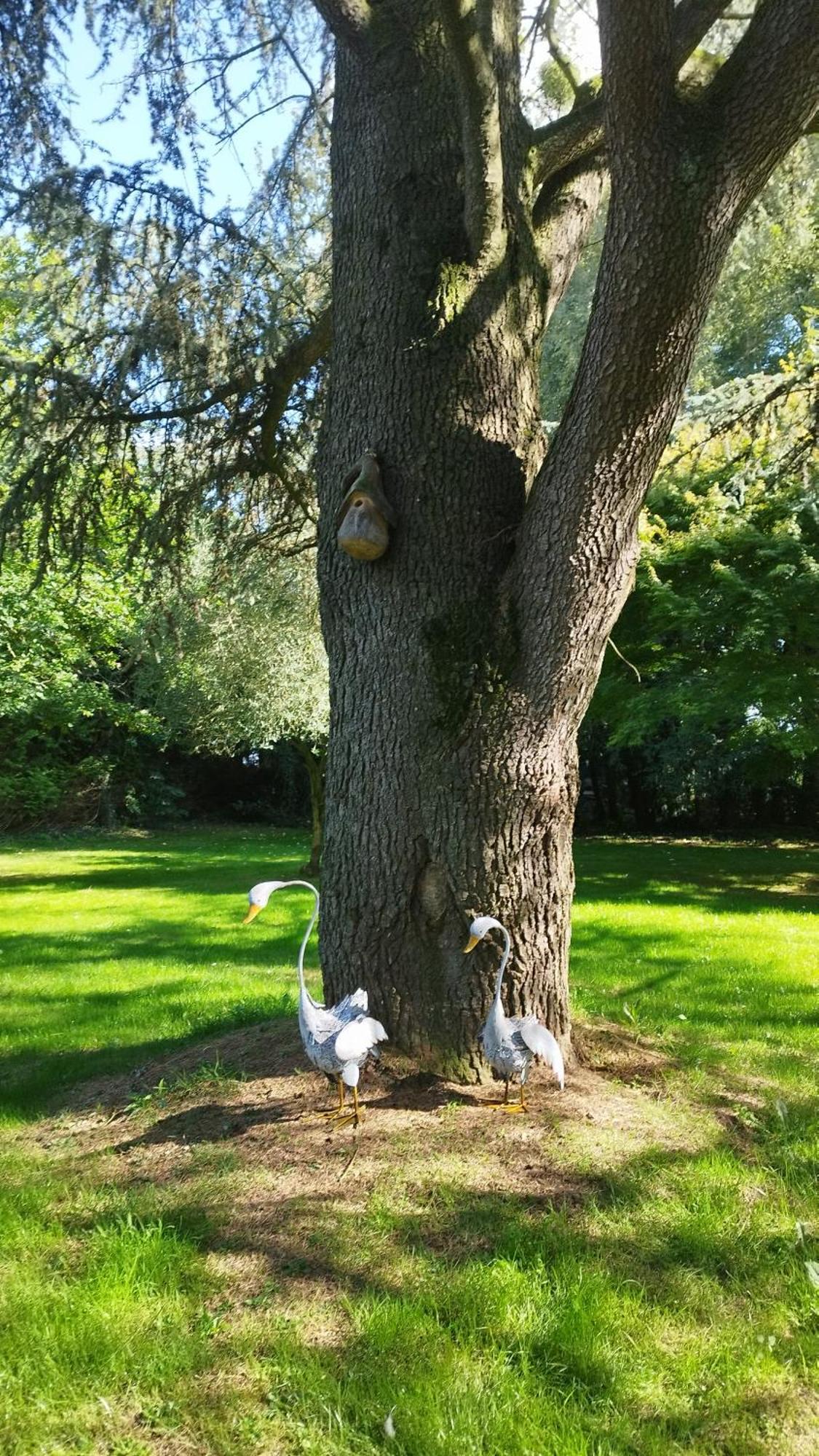 La Suite D'Anna Rohan Bagian luar foto
