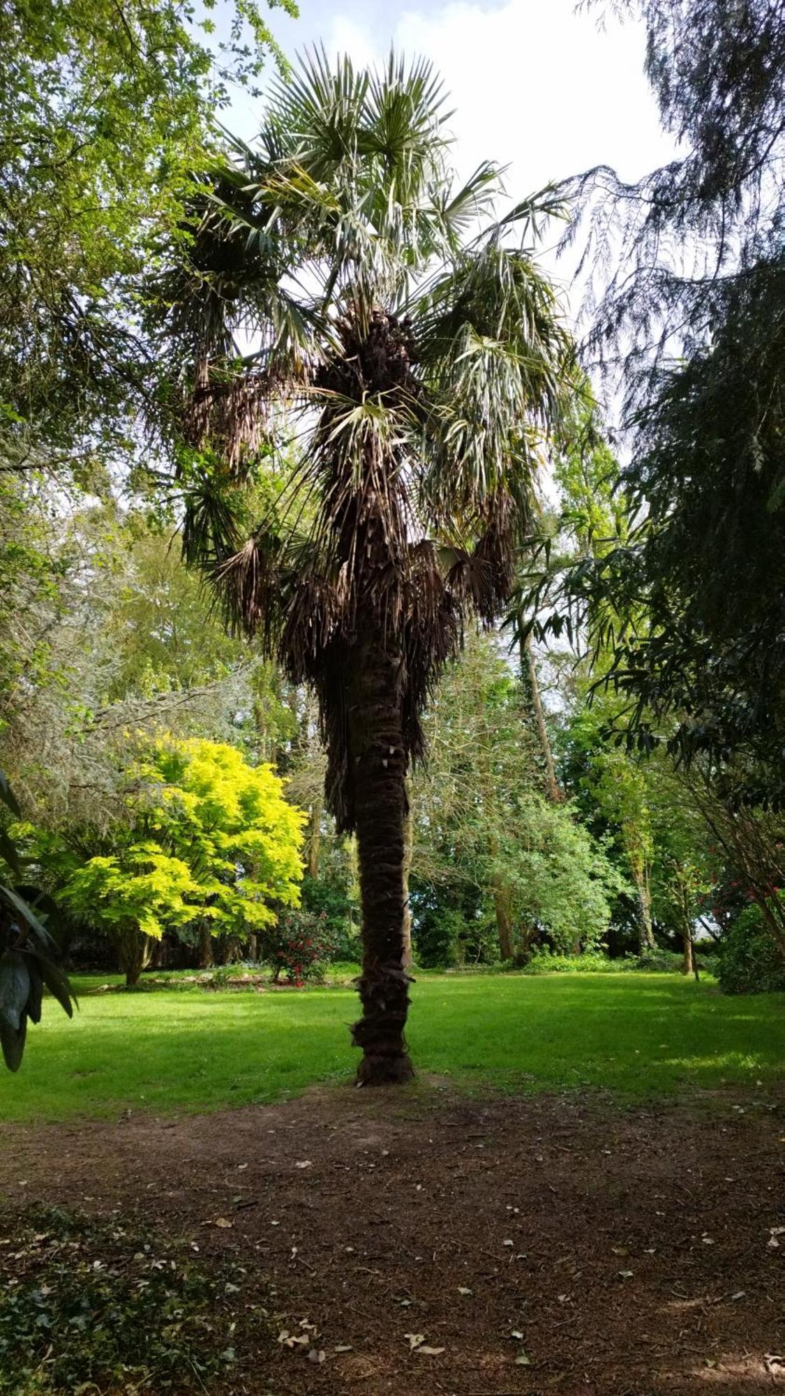 La Suite D'Anna Rohan Bagian luar foto